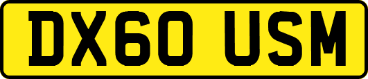 DX60USM