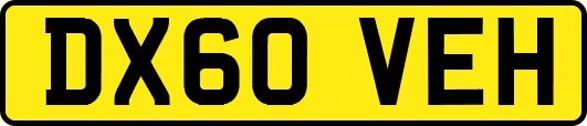 DX60VEH