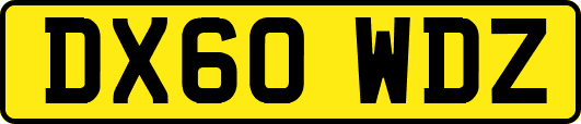 DX60WDZ