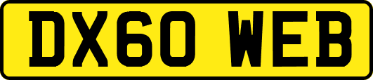 DX60WEB