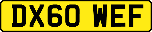 DX60WEF