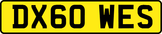 DX60WES