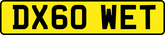 DX60WET