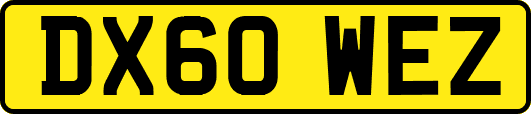 DX60WEZ