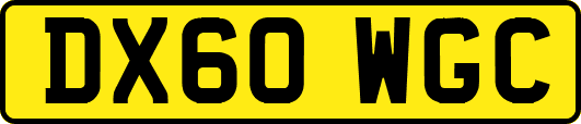 DX60WGC