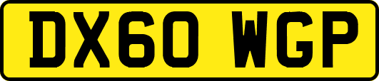 DX60WGP