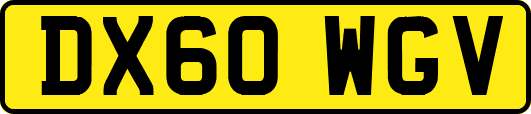 DX60WGV
