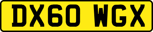 DX60WGX