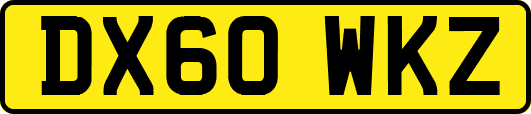 DX60WKZ