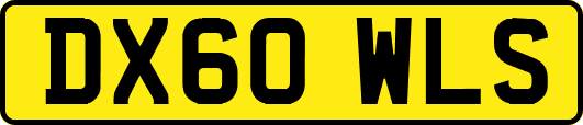 DX60WLS