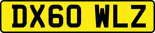 DX60WLZ