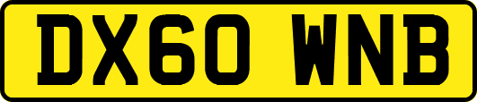 DX60WNB
