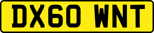 DX60WNT