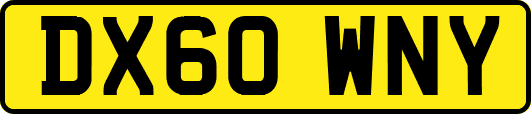 DX60WNY