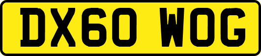 DX60WOG
