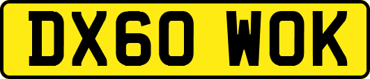 DX60WOK