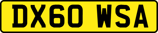 DX60WSA