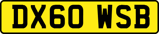 DX60WSB