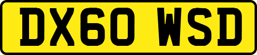 DX60WSD