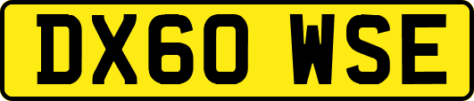 DX60WSE