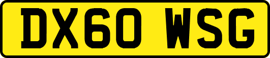 DX60WSG