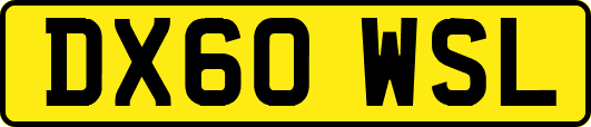 DX60WSL