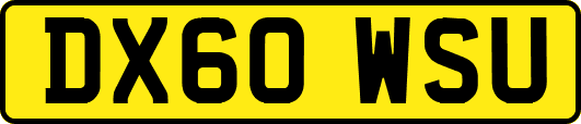 DX60WSU