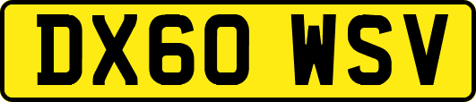 DX60WSV