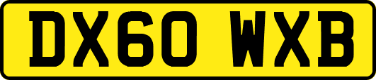 DX60WXB