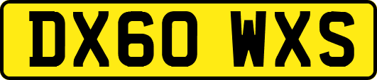 DX60WXS