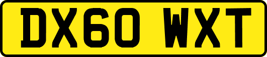 DX60WXT