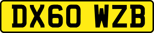 DX60WZB