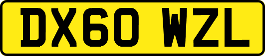 DX60WZL