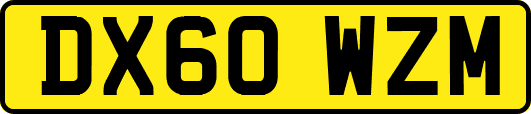 DX60WZM