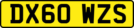 DX60WZS
