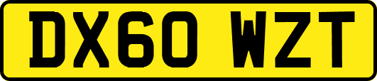 DX60WZT