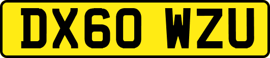 DX60WZU