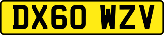 DX60WZV