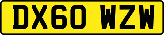DX60WZW