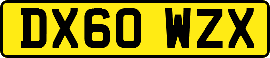 DX60WZX