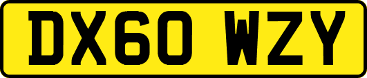 DX60WZY