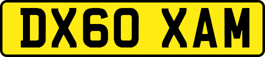 DX60XAM