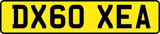 DX60XEA