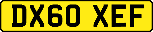 DX60XEF