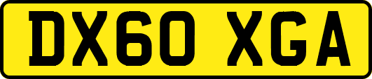 DX60XGA