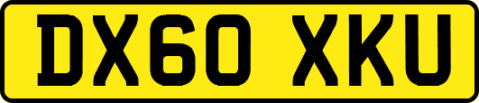 DX60XKU