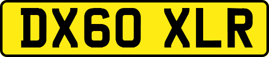 DX60XLR