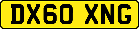 DX60XNG