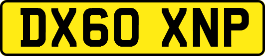 DX60XNP