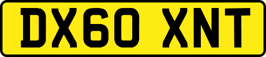 DX60XNT